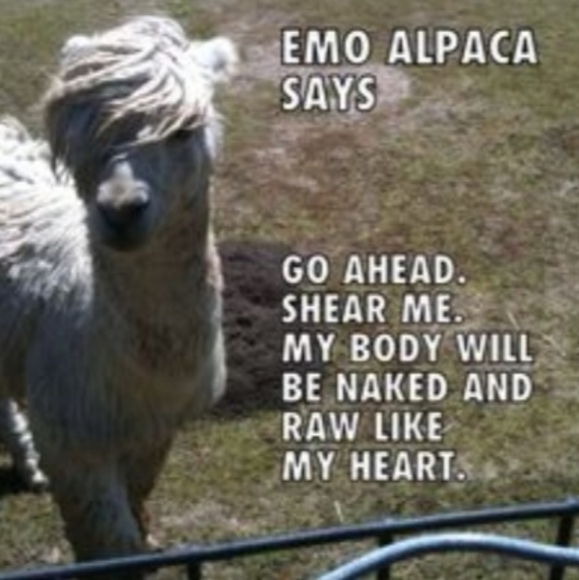 Hi! - Picture 2 of 4